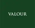 Valour Group logo