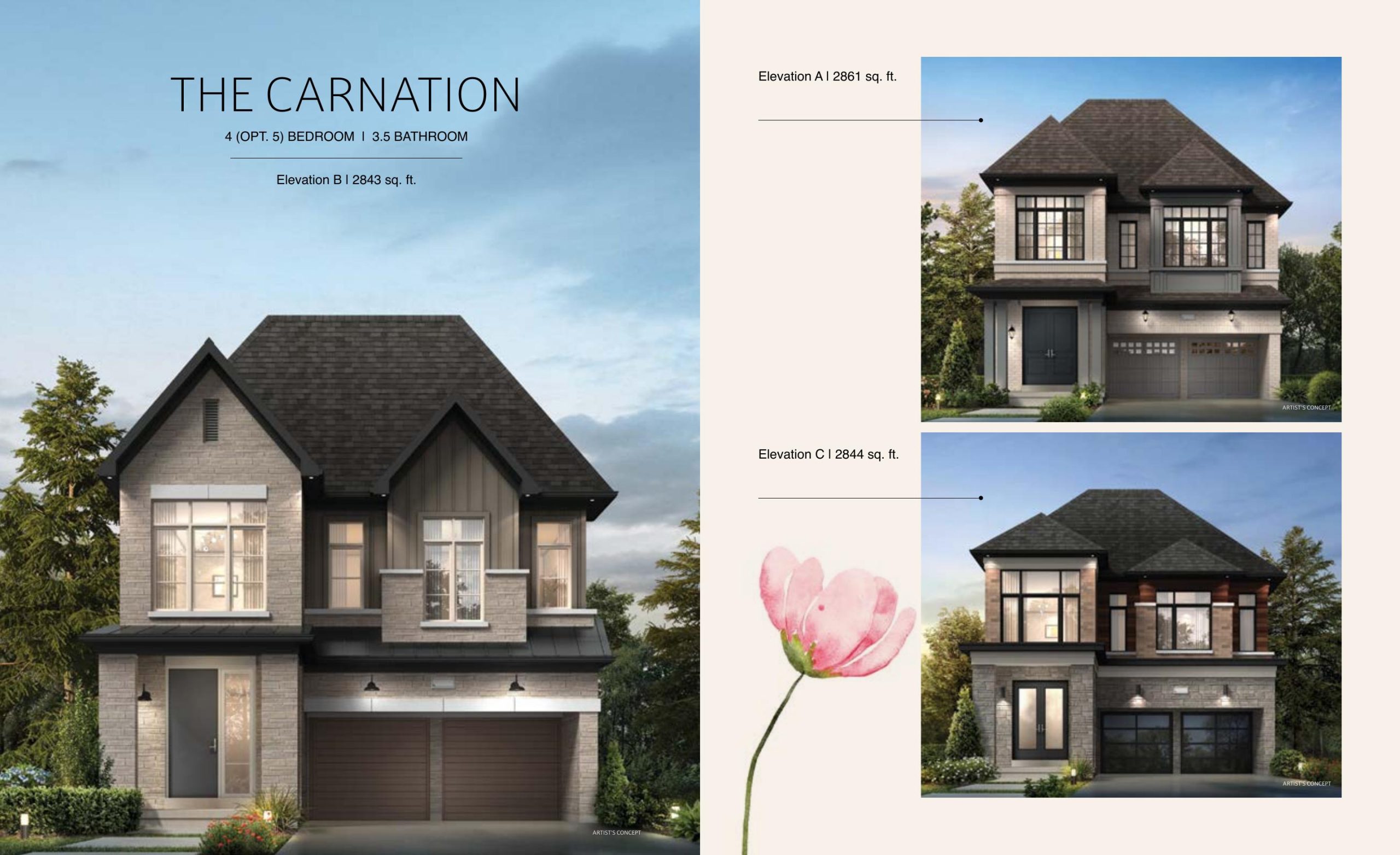 The Carnation plan preview