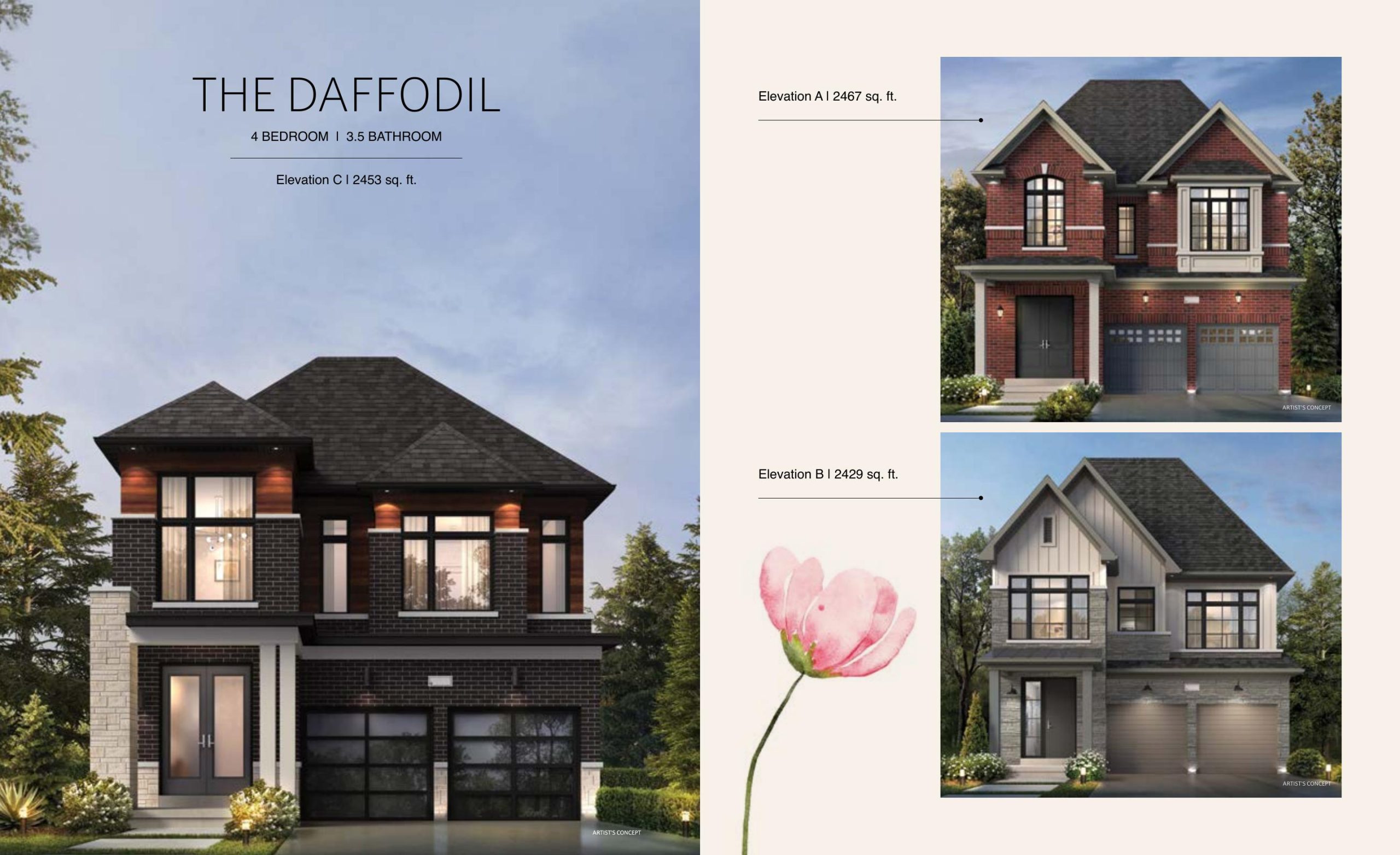 The Daffodil plan preview