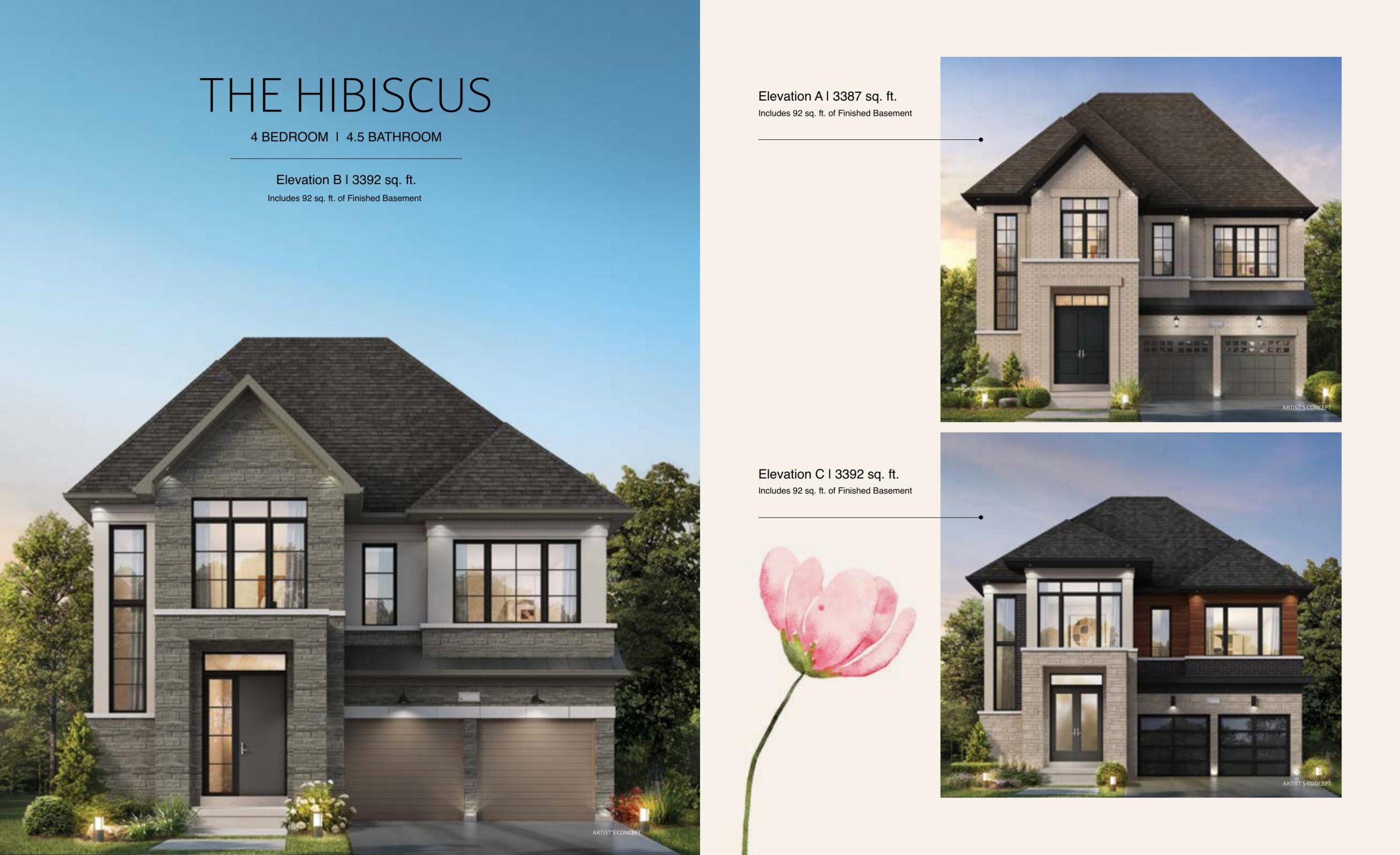 The Hibiscus plan preview