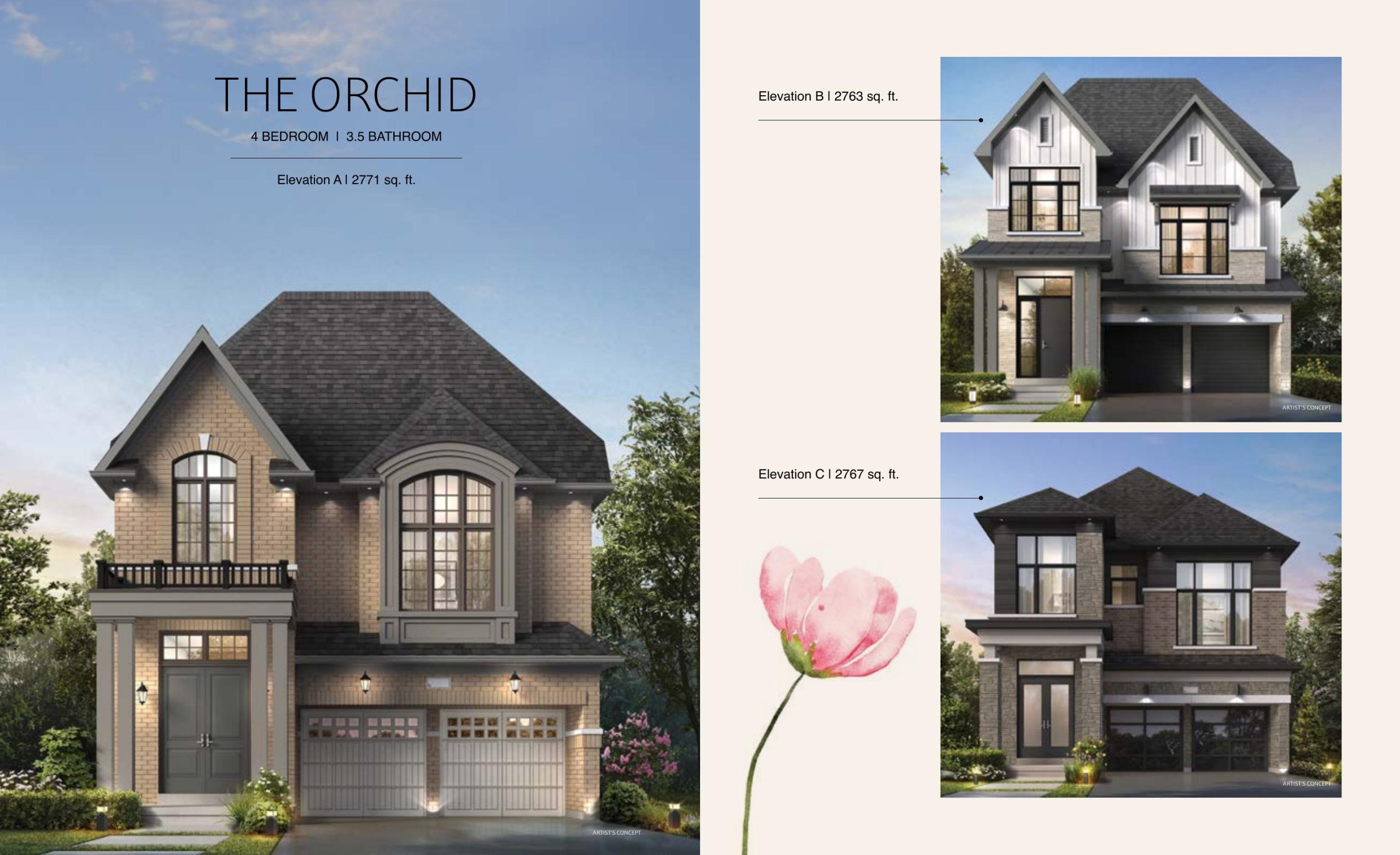 The Orchid plan preview