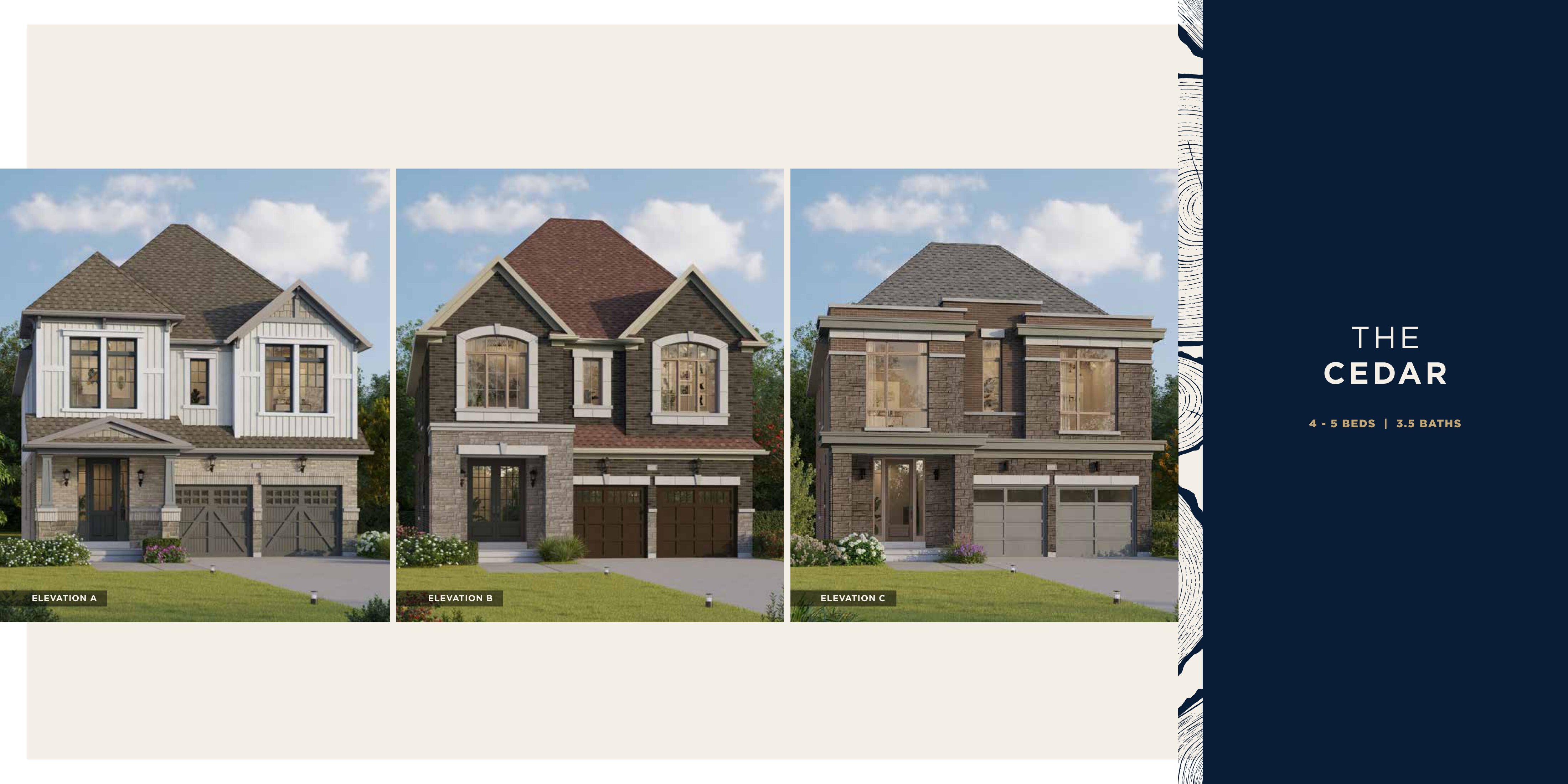 The Cedar plan preview