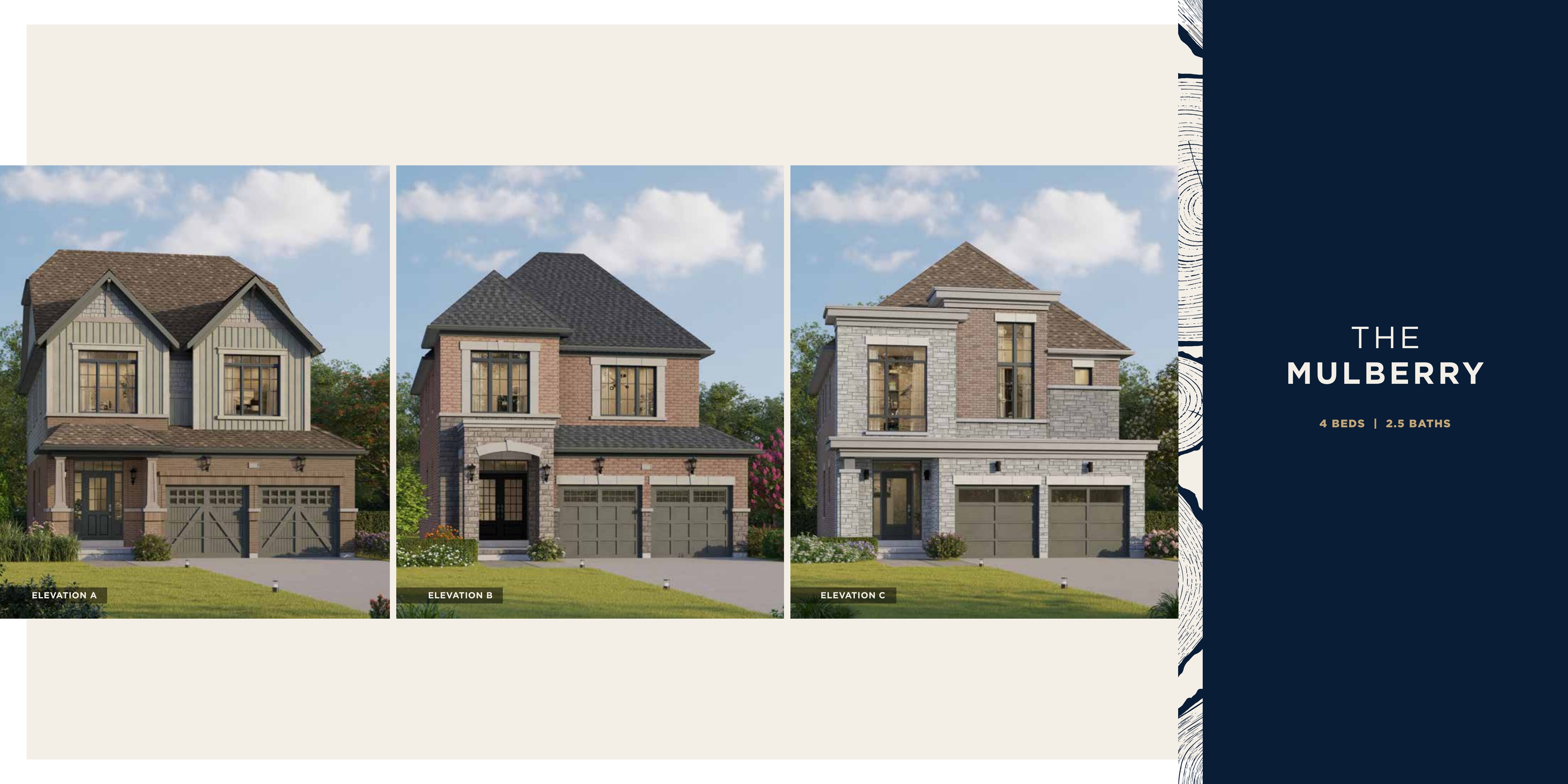 The Mulberry plan preview