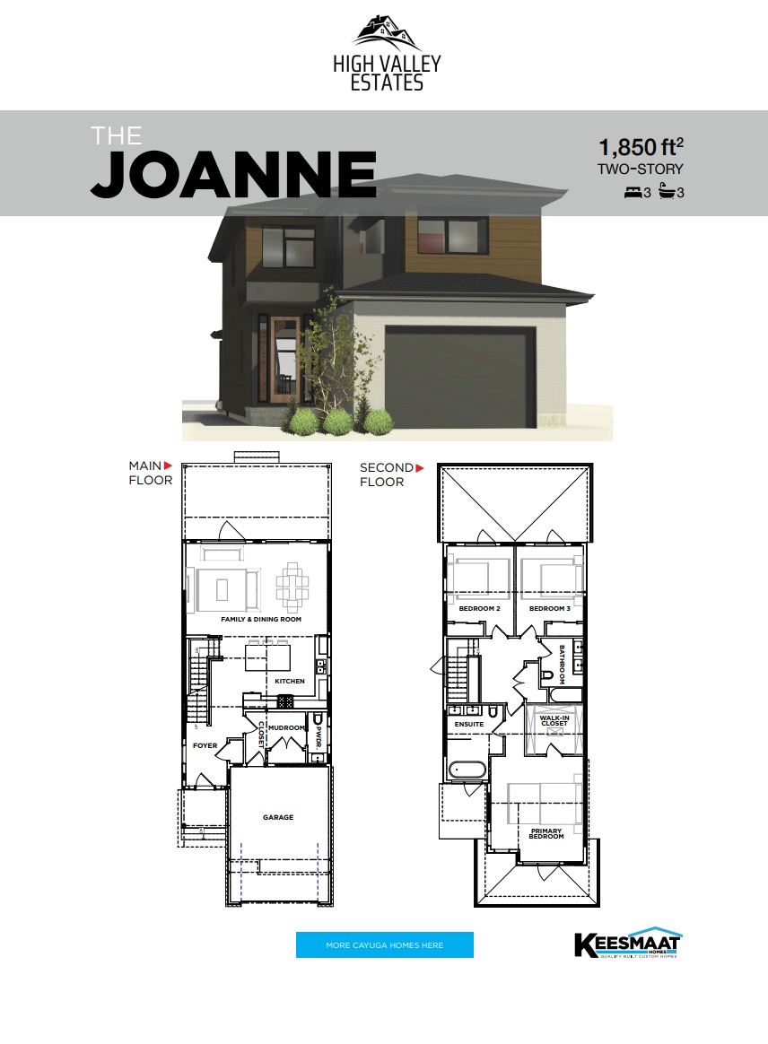 The Joanne plan preview