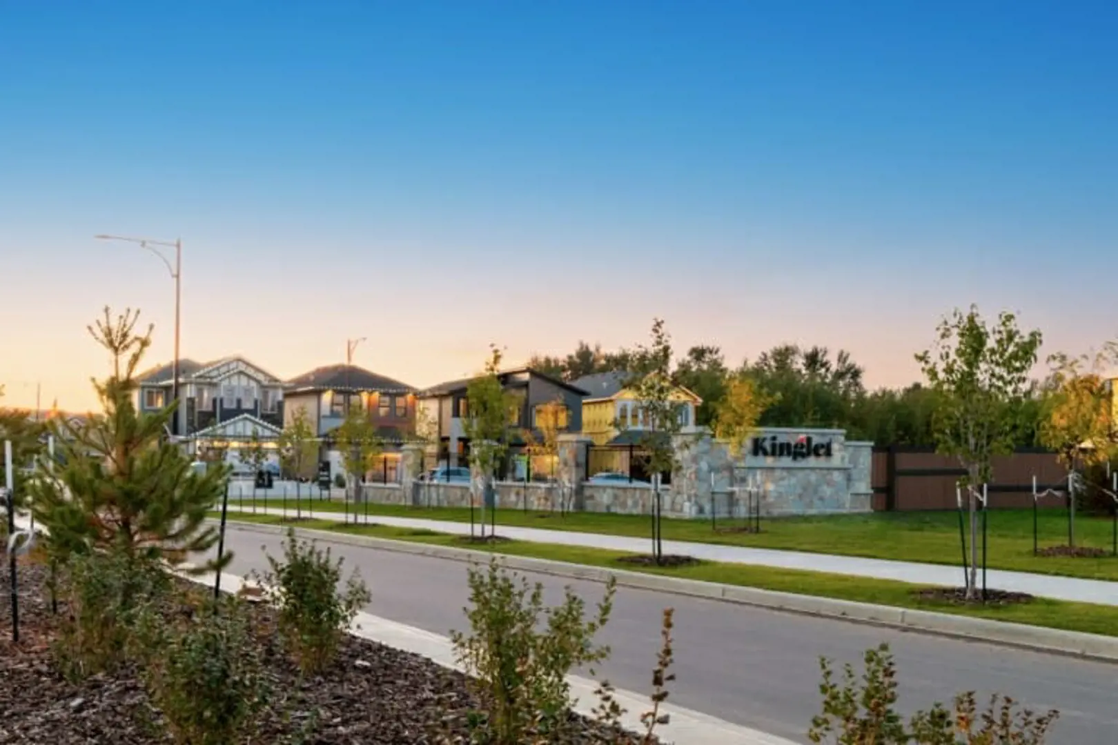 Kinglet, Edmonton. Artist’s rendering.