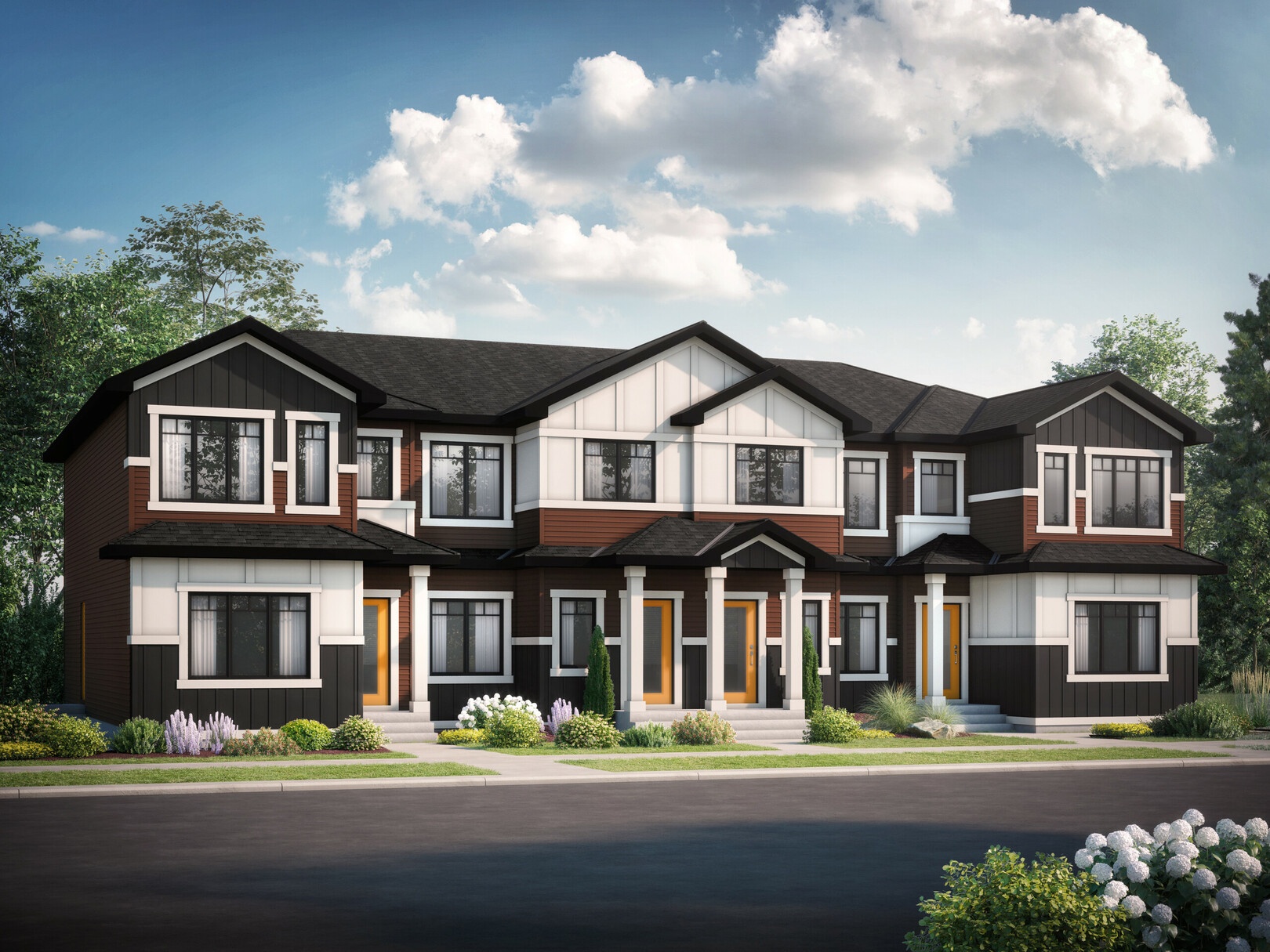 Ivy plan preview