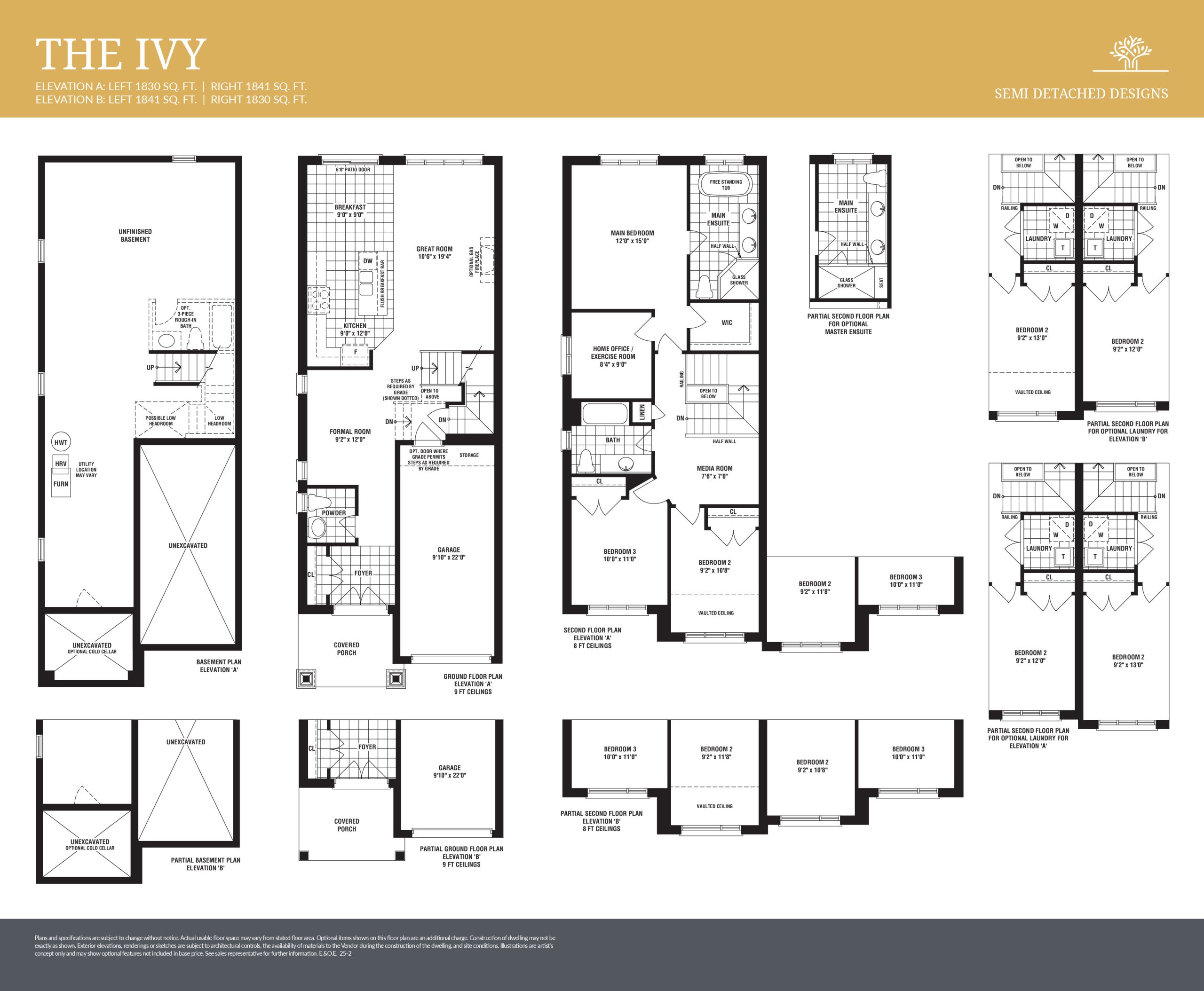 The Ivy plan preview