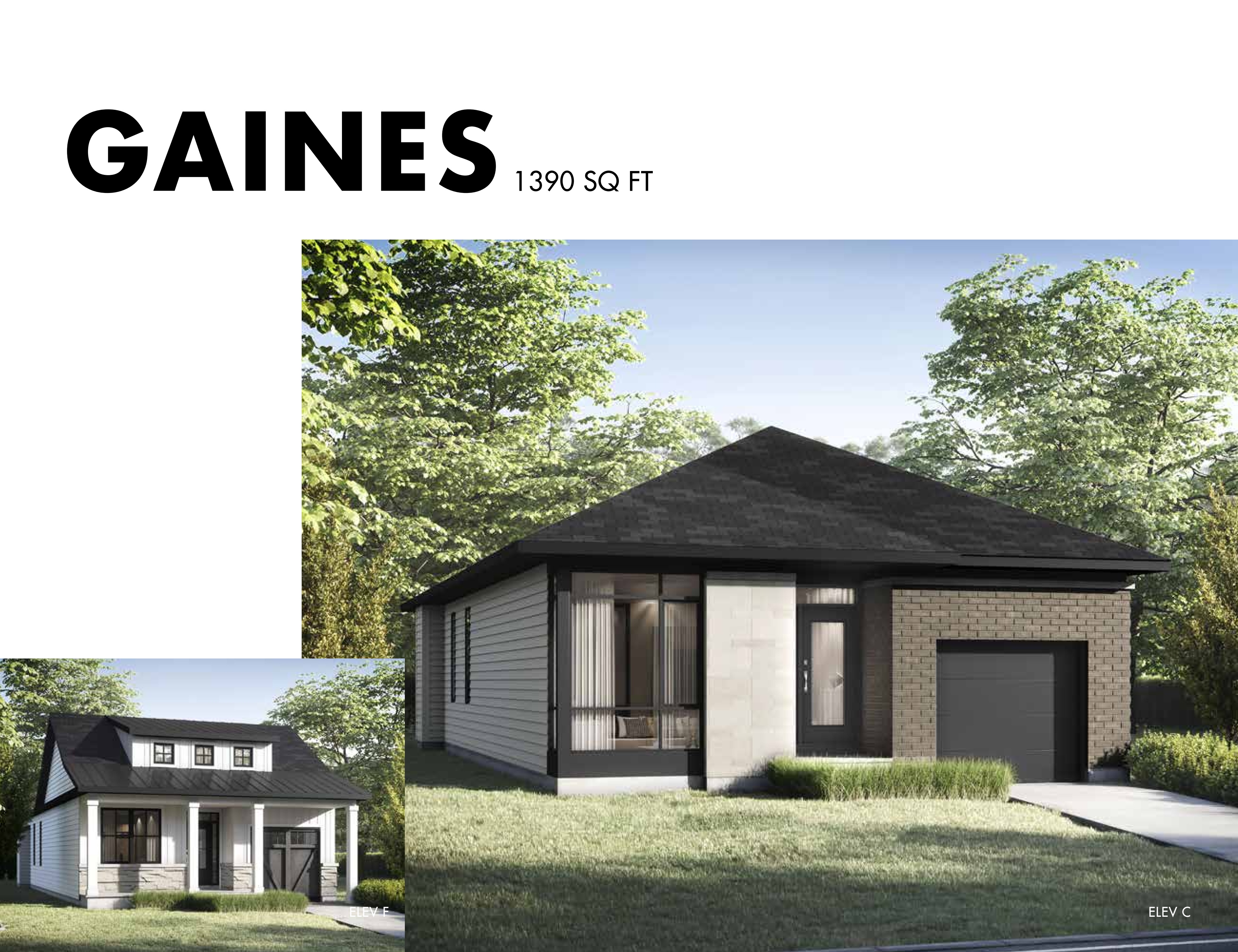 Gaines plan preview