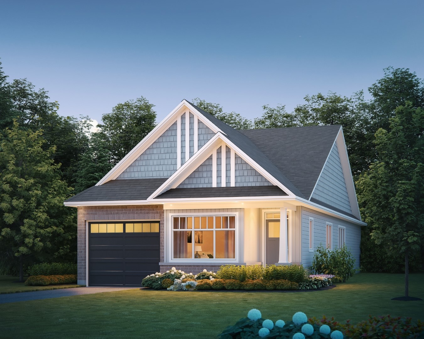The Chadwick plan preview