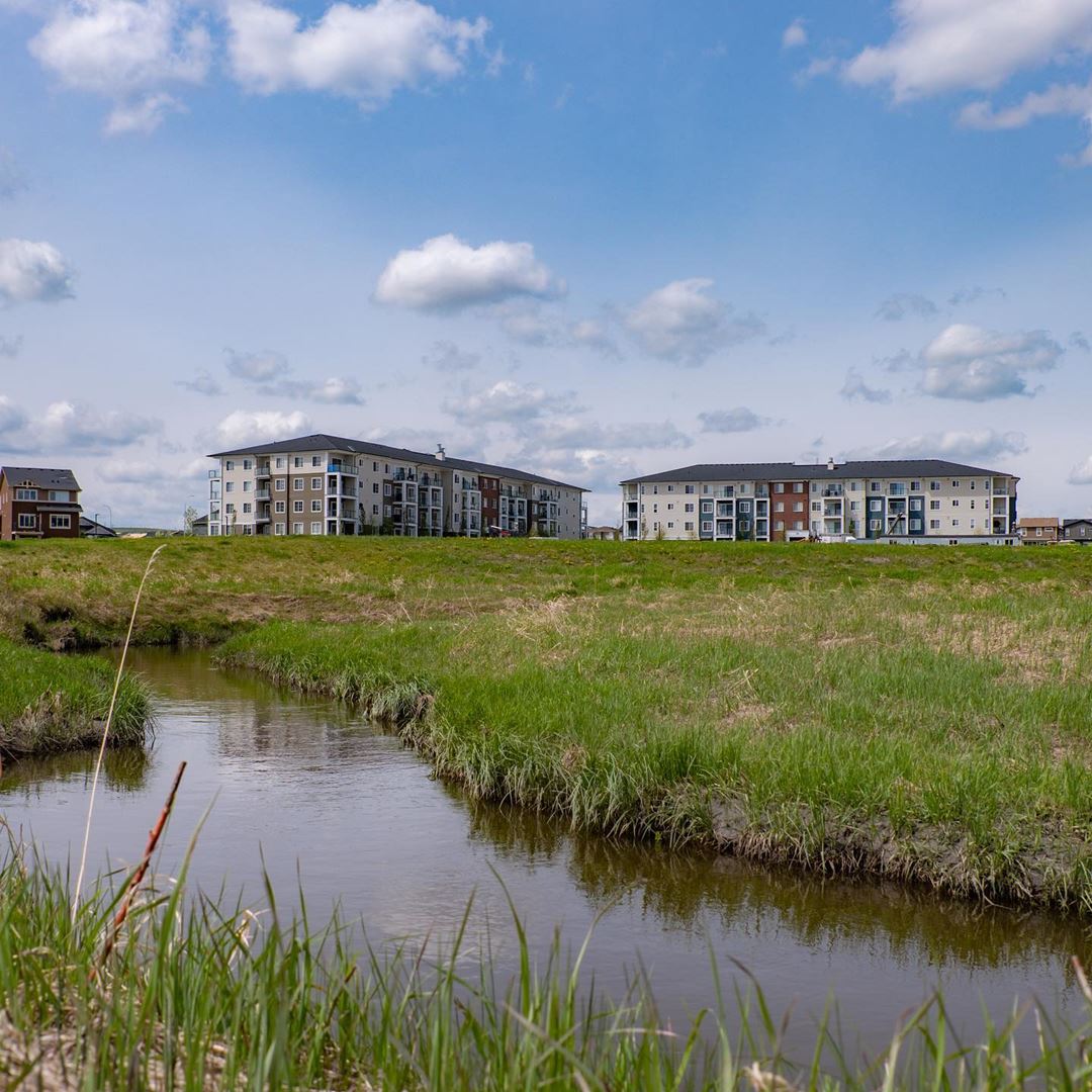 Sage Hill Park 2 rendering 2