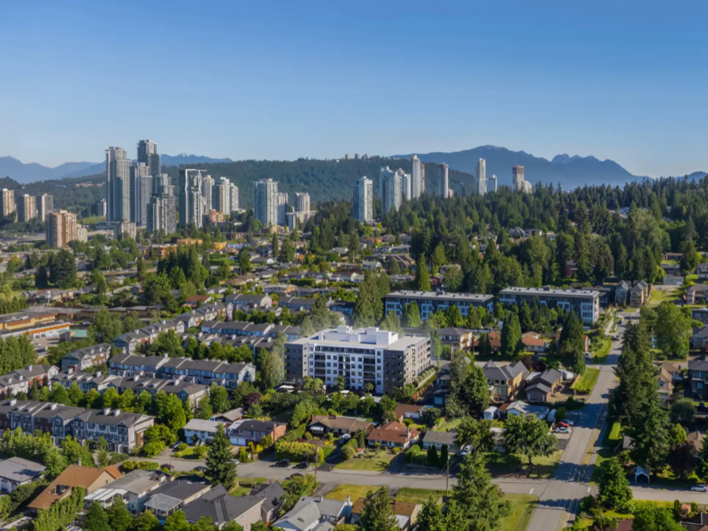Aerial rendering