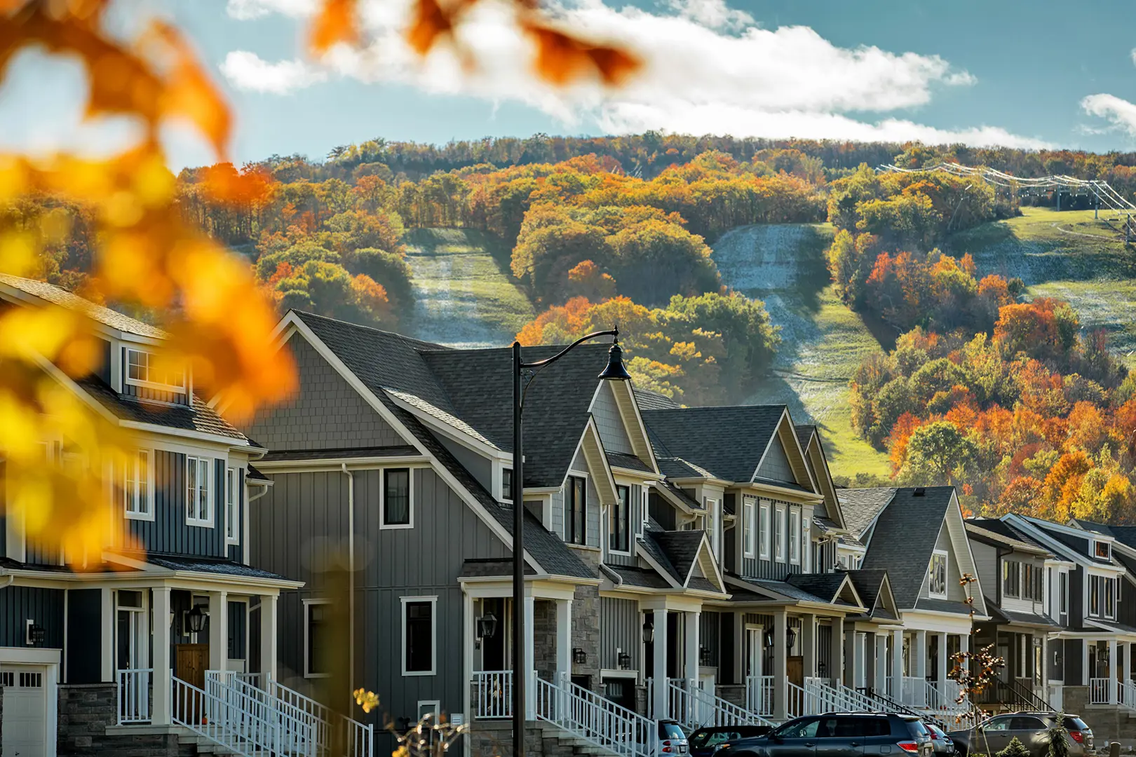 Windfall at Blue, The Blue Mountains. Artist’s rendering.